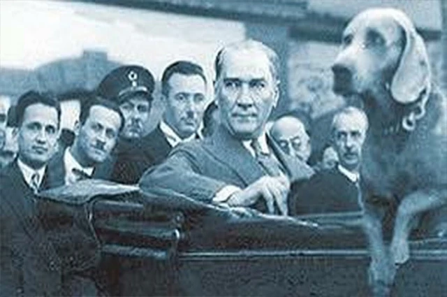 Foks ile Atatürk